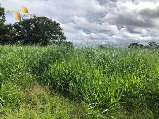 Fazenda venda em Guiratinga, Região Geográfica Intermediária de Rondonópolis