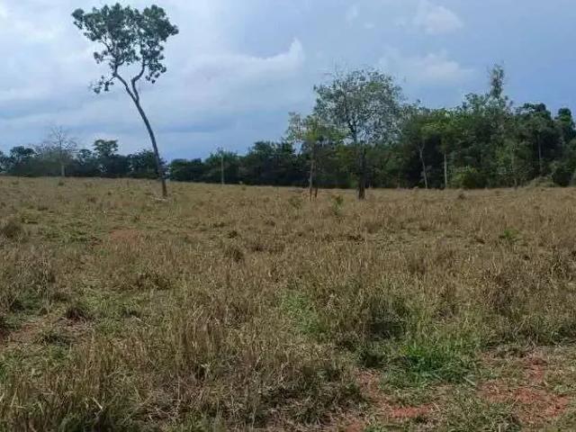 Fazenda venda em Região Geográfica Imediata de Rondonópolis, Guiratinga