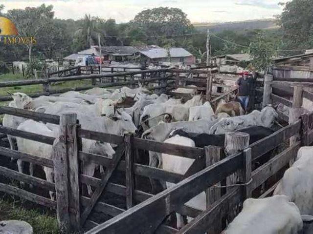 Fazenda venda em Guiratinga, Região Geográfica Intermediária de Rondonópolis
