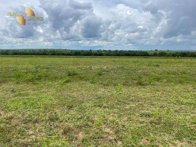 Fazenda venda em Região Geográfica Imediata de Rondonópolis, Guiratinga