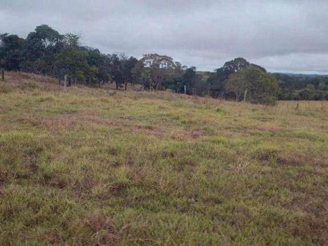 Fazenda venda em Guiratinga, Região Geográfica Intermediária de Rondonópolis