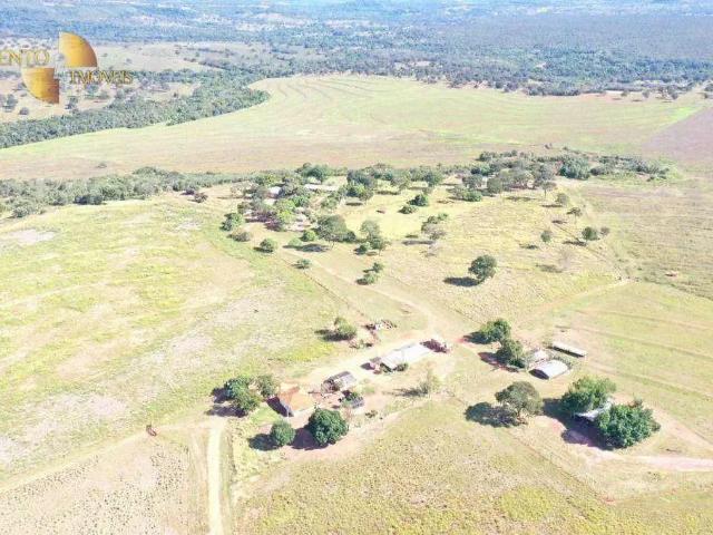 Fazenda venda em Região Geográfica Imediata de Rondonópolis, Guiratinga