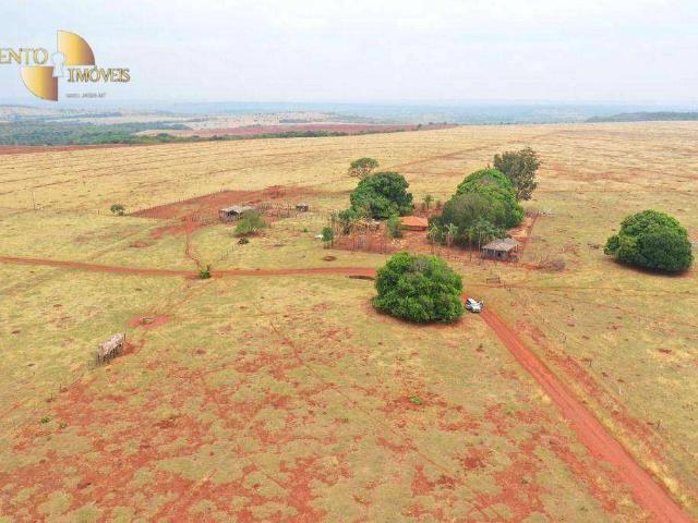 Fazenda venda em Guiratinga, Região Geográfica Intermediária de Rondonópolis