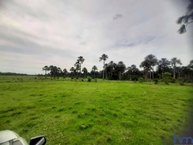 Fazenda venda em Região Geográfica Imediata de Ituiutaba, Gurinhatã