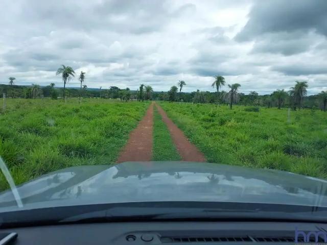 Fazenda venda em Região Geográfica Imediata de Gurupi, Gurupi