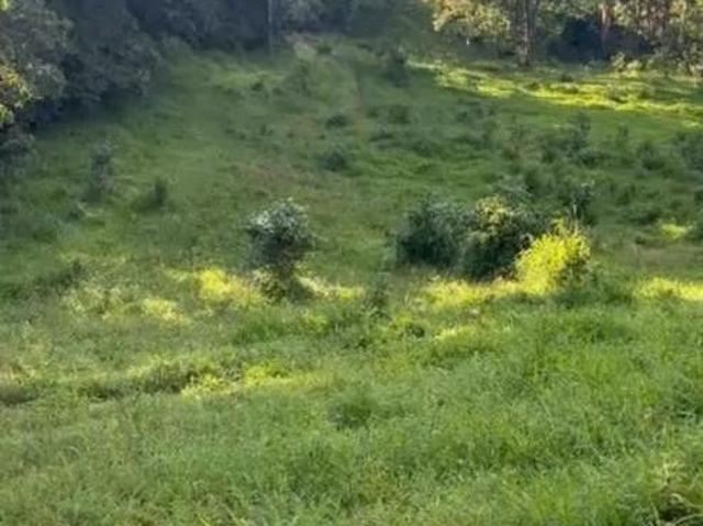 Sítio e chácara venda em Hidrolina, Região Geográfica Intermediária de Porangatu-Uruaçu