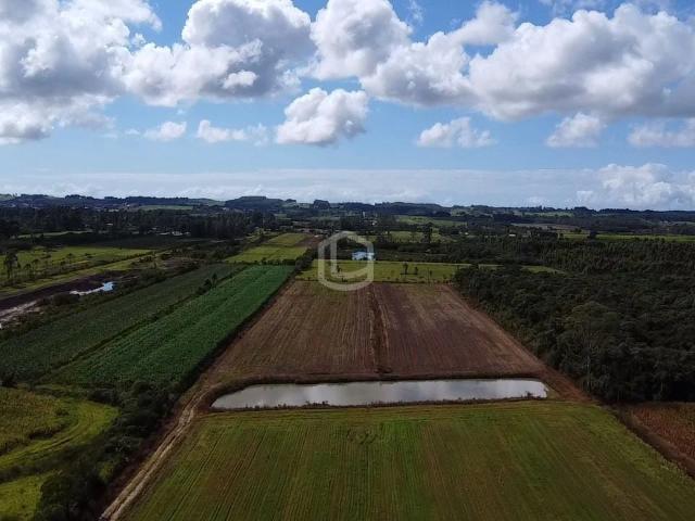 Fazenda venda em Esperança, Içara