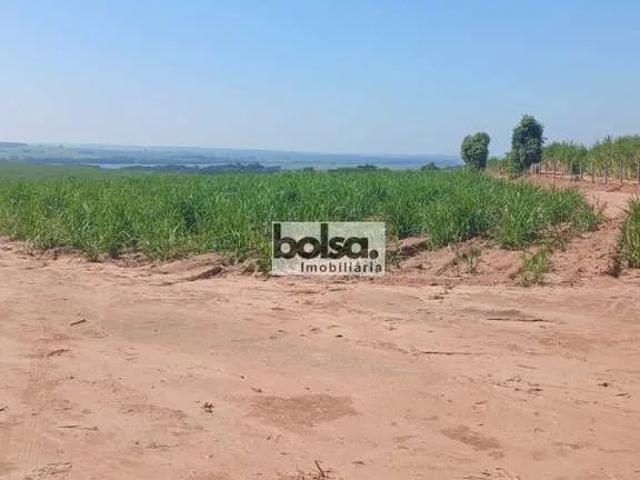 Fazenda venda em Iacanga, Região Geográfica Intermediária de Bauru