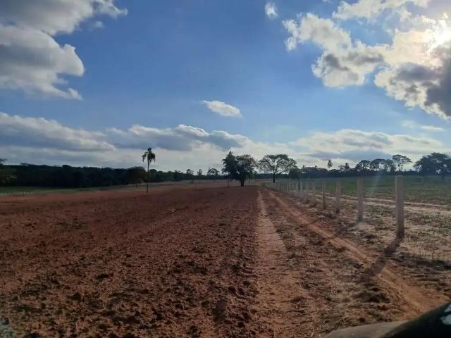 Fazenda venda em Região Imediata de Bauru, Iacanga