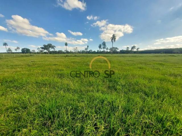 Fazenda venda em Região Imediata de Bauru, Iacanga