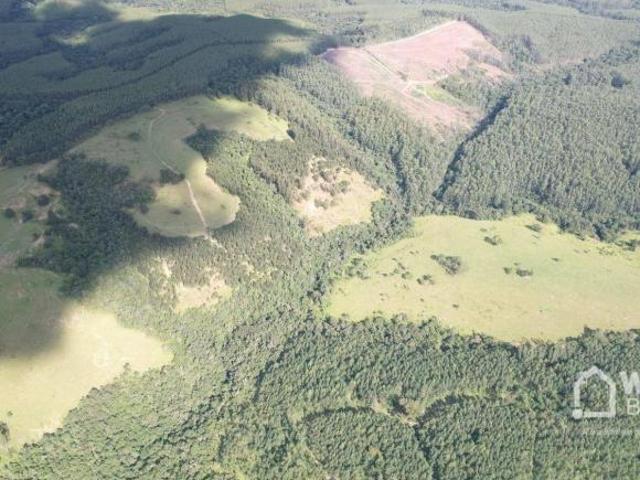 Sítio e chácara venda em Região Geográfica Imediata de Ibaití, Ibaiti