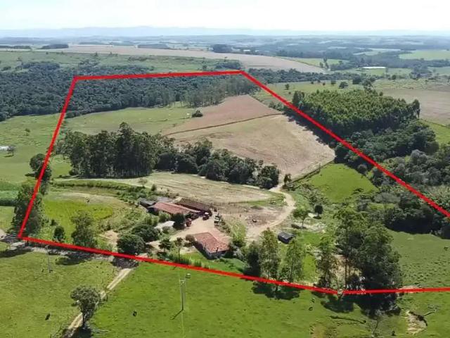 Fazenda venda em Região Geográfica Imediata de Ibaití, Ibaiti