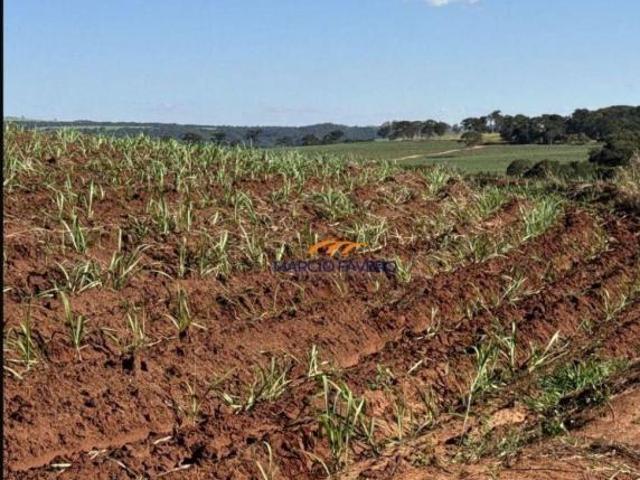 Sítio e chácara venda em Região Imediata de São Carlos, Ibaté