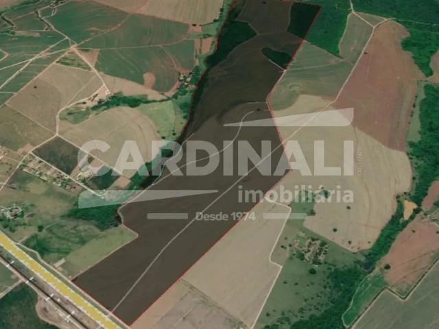 Fazenda venda em Ibaté, Região Geográfica Intermediária de Araraquara