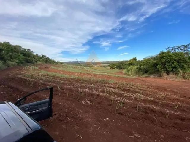 Fazenda venda em Região Imediata de São Carlos, Ibaté