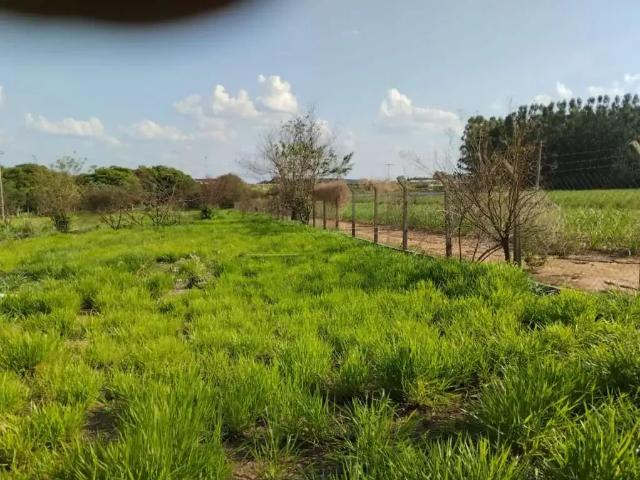 Fazenda venda em Região Imediata de São Carlos, Ibaté