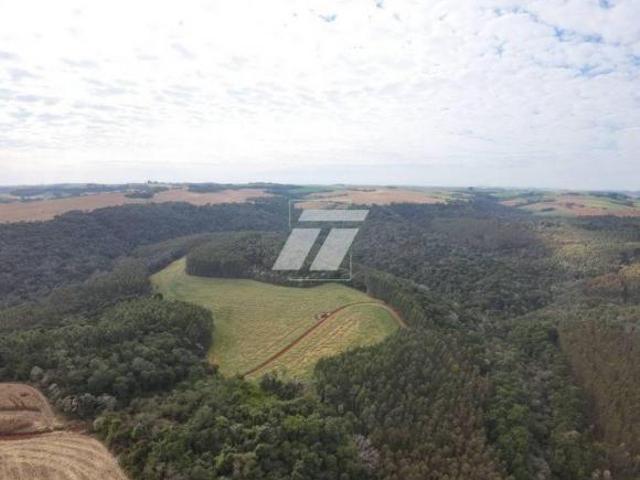 Sítio e chácara venda em Região Geográfica Imediata de Cascavel, Ibema