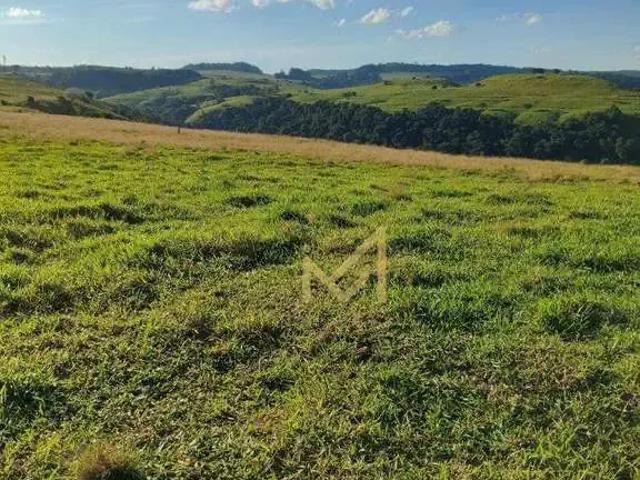 Fazenda venda em Região Geográfica Imediata de Cascavel, Ibema