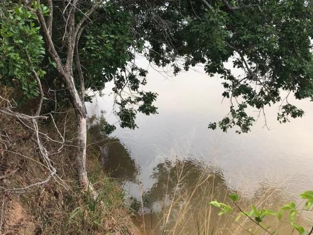 Fazenda venda em Região Geográfica Imediata de Pirapora, Ibiaí
