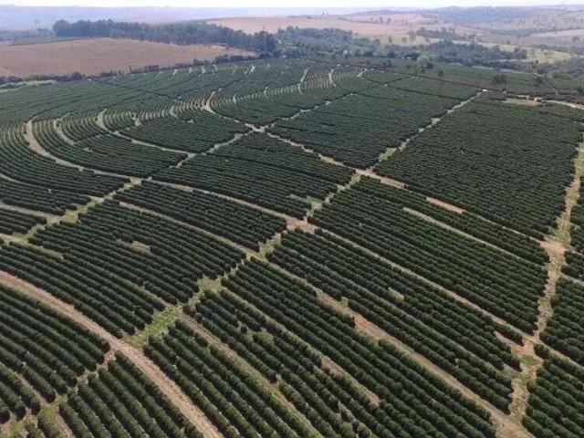 Fazenda venda em Região Geográfica Imediata de Juiz de Fora, Juiz de Fora