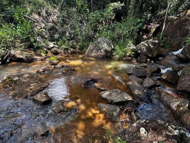 Fazenda venda em Ibicuí