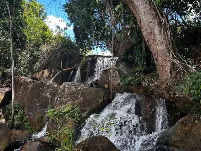 Fazenda venda em Região Geográfica Imediata de Ilhéus – Itabuna, Ibicuí