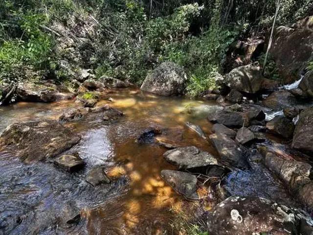 Fazenda venda em Região Geográfica Imediata de Ilhéus – Itabuna, Ibicuí