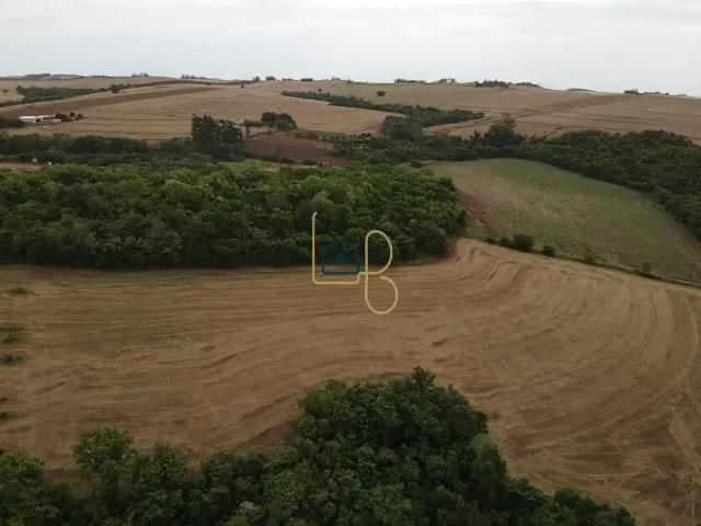 Fazenda venda em Região Geográfica Imediata de Londrina, Ibiporã