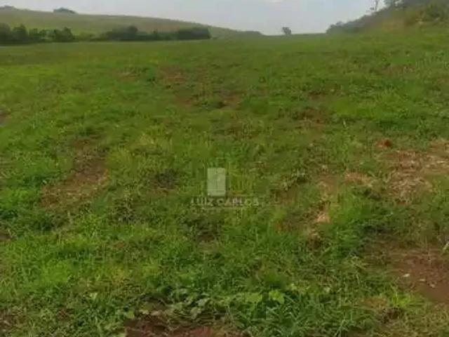 Fazenda venda em Região Geográfica Imediata de Londrina, Ibiporã