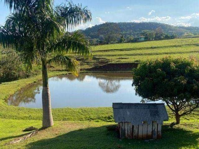 Fazenda venda em Região Geográfica Imediata de Londrina, Ibiporã