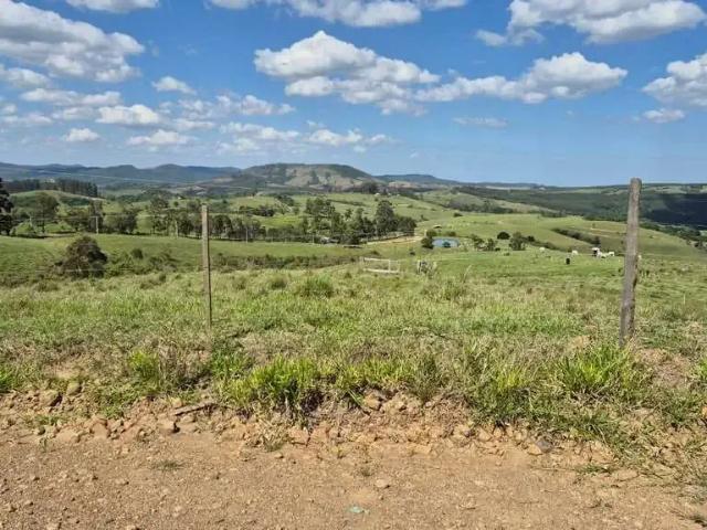 Fazenda venda em Região Geográfica Imediata de Telêmaco Borba, Curiuva