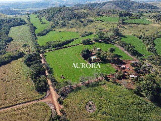 Fazenda venda em Região Geográfica Imediata de Londrina, Ibiporã
