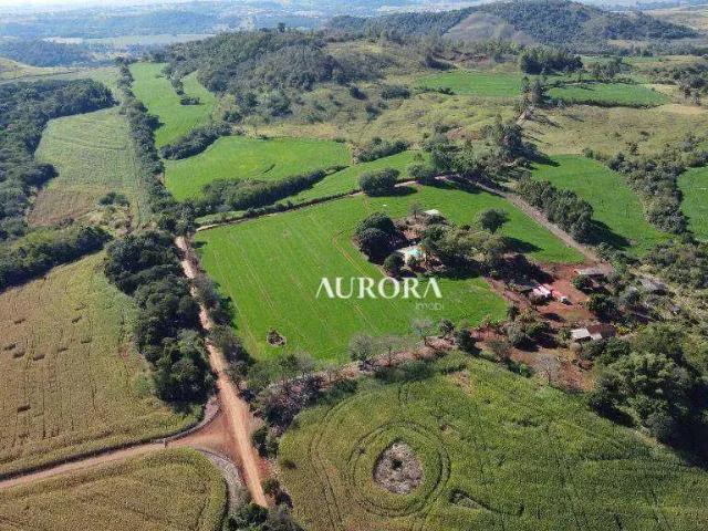 Fazenda venda em Região Geográfica Imediata de Londrina, Ibiporã