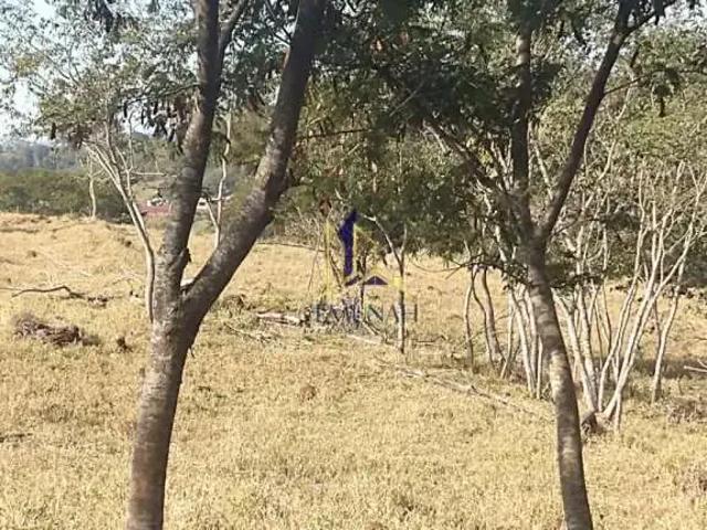 Fazenda venda em Região Geográfica Imediata de Londrina, Ibiporã
