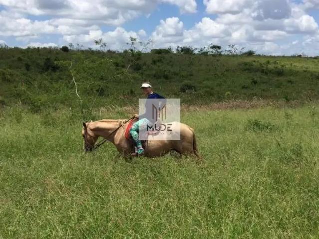 Fazenda venda em Região Geográfica Imediata de Itaberaba, Ibiquera