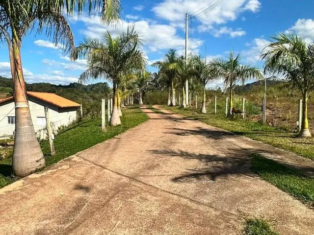 Fazenda venda em Região Geográfica Imediata de Passos, Ibiraci