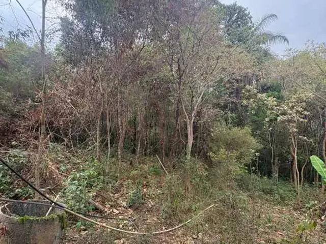Fazenda venda em Região Geográfica Imediata de Belo Horizonte, Região Metropolitana de Belo Horizonte