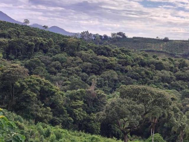 Sítio e chácara venda em Ibitiúra de Minas, Região Geográfica Intermediária de Pouso Alegre