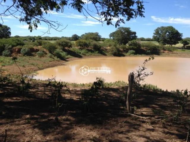 Sítio e chácara venda em Região Geográfica Imediata de Januária, Juvenília