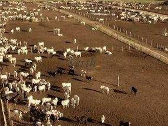 Fazenda venda em Ibotirama, Região Nordeste