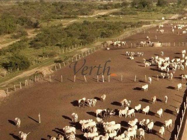 Fazenda venda em Ibotirama, Região Nordeste