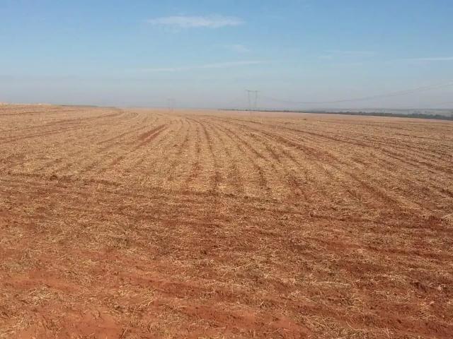 Fazenda venda em Iepê