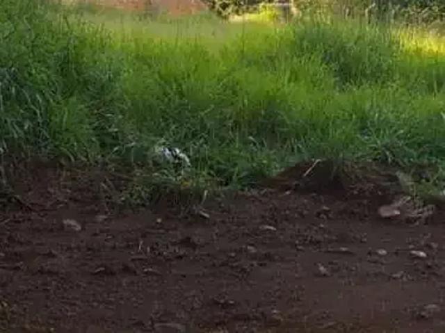 Fazenda venda em Região Geográfica Imediata de Belo Horizonte, Região Metropolitana de Belo Horizonte