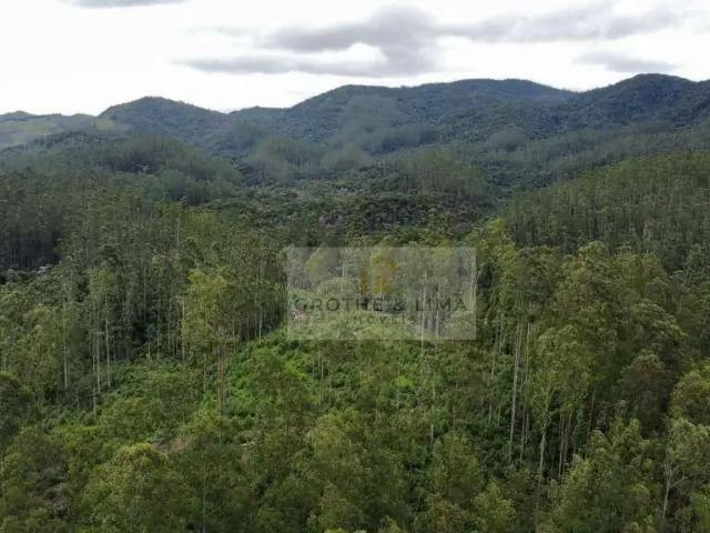 Fazenda venda em Região Imediata de São José dos Campos, Região Metropolitana do Vale do Paraíba e Litoral Norte