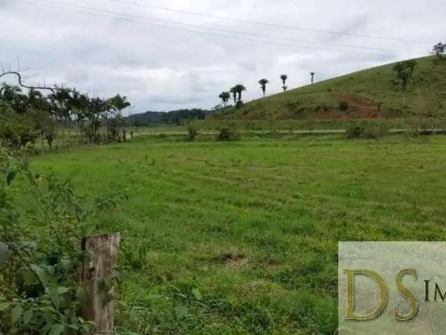 Fazenda venda em Região Imediata de Registro, Iguape