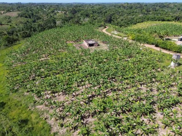 Fazenda venda em Região Geográfica Imediata de Ilhéus – Itabuna, Ilhéus