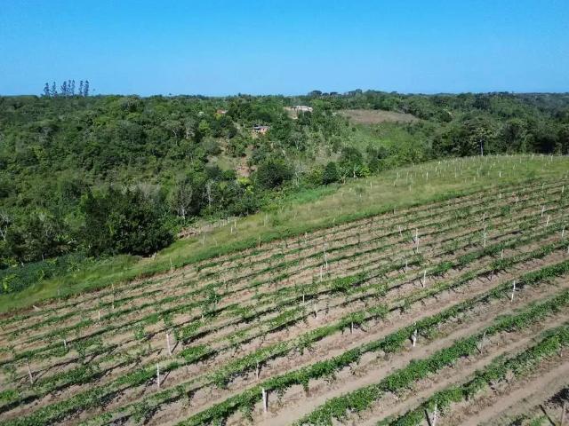 Fazenda venda em Região Geográfica Imediata de Ilhéus – Itabuna, Ilhéus