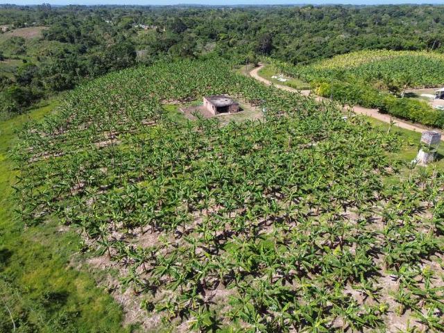Fazenda venda em Ilhéus