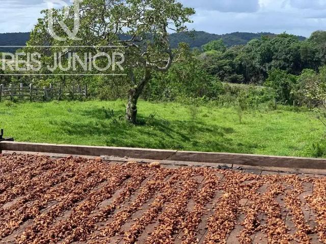 Fazenda venda em Região Geográfica Imediata de Ilhéus – Itabuna, Ilhéus