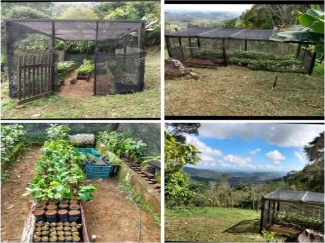 Fazenda venda em Região Geográfica Imediata de Ilhéus – Itabuna, Ilhéus